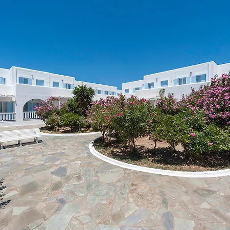 Narges Aliki (Paros)